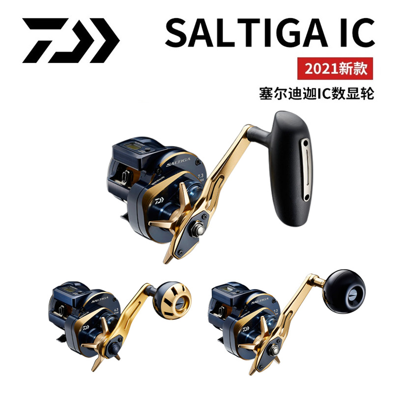 21 Japanese DAIWA Daiwa SALTIG - đánh giá và giá Baitcasting Reel