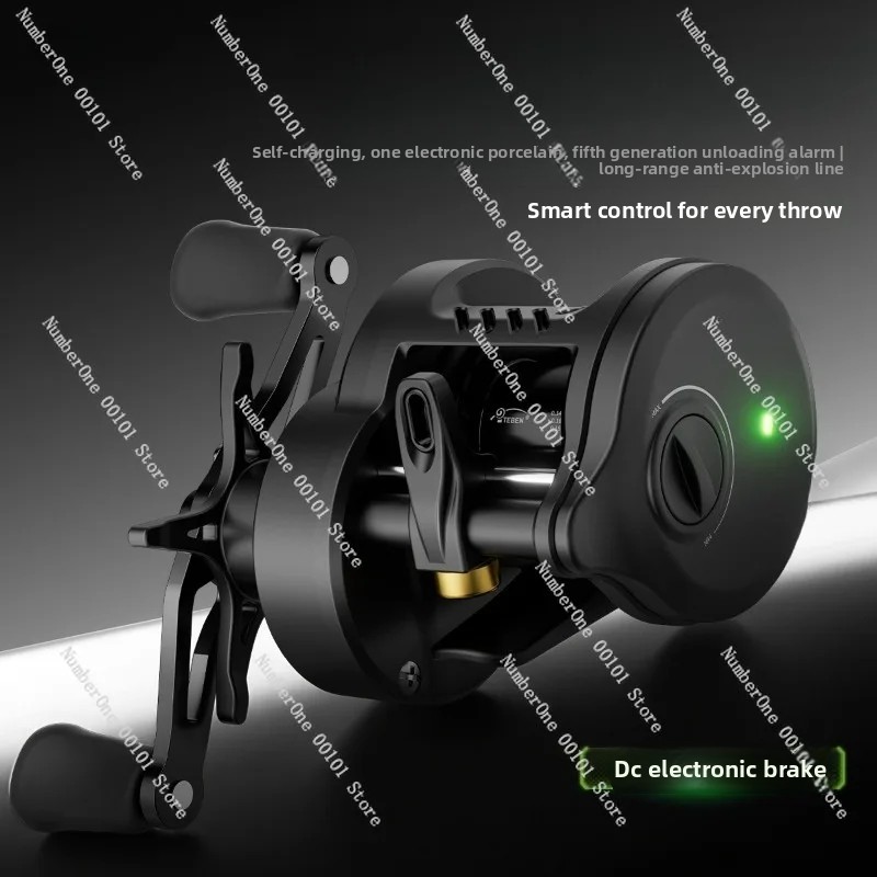 Electronic Magnetic Brake Fish - đánh giá và giá Baitcasting Reel